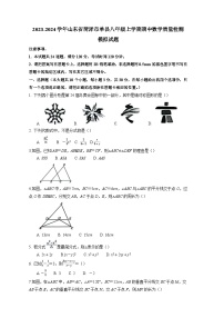 2023-2024学年山东省菏泽市单县八年级上学期期中数学质量检测模拟试题（含解析）