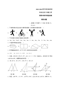 2023-2024学年四川省泸州市合江县八年级上学期期中数学质量检测模拟试题（含解析）