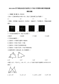 2023-2024学年湖北省武汉市武昌区八年级上学期期中数学质量检测模拟试题（含解析）