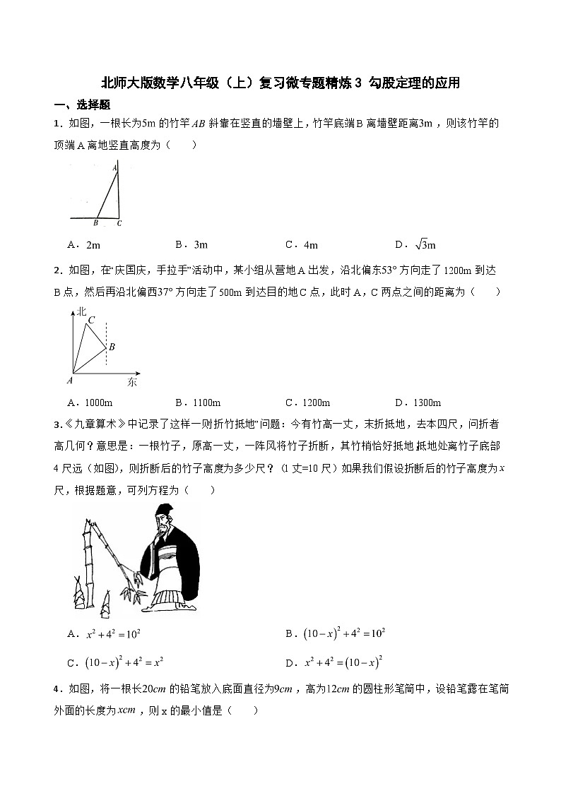 北师大版数学八年级（上）复习微专题精炼3 勾股定理的应用第1页