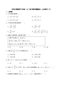 北师大版数学八年级（上）复习微专题精炼6 二次根式（2）