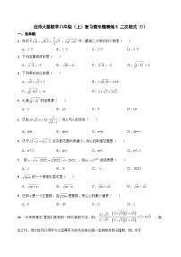北师大版数学八年级（上）复习微专题精炼5 二次根式（1）