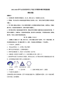 2023-2024学年山东省滨州市九年级上学期期中数学质量检测模拟试题（含解析）