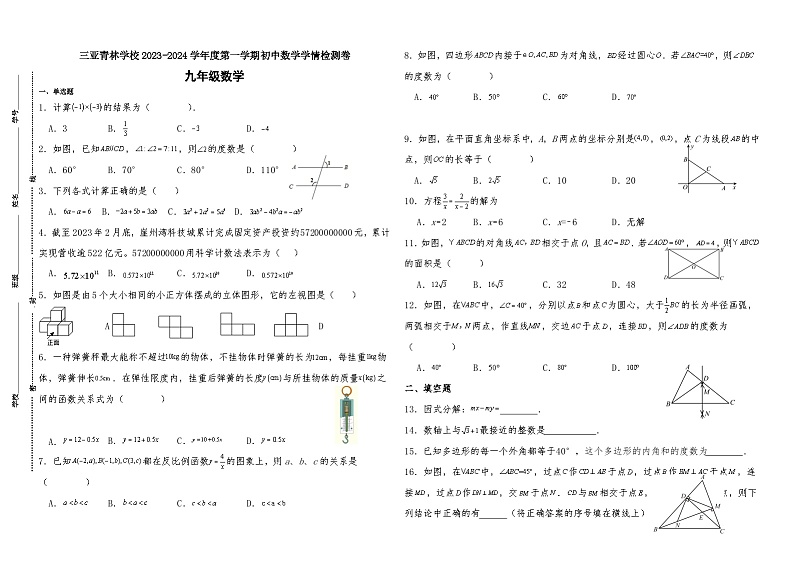 海南省三亚青林学校2023—2024学年上学期九年级期中数学学情检测卷01