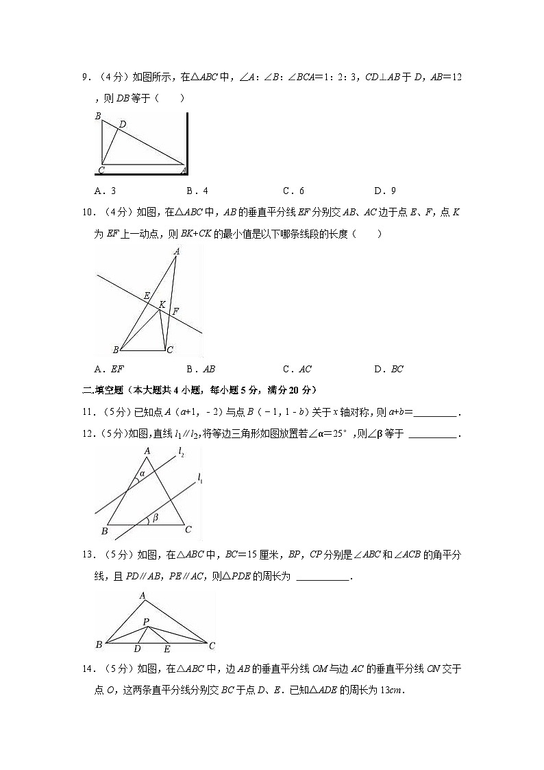 2023-2024学年安徽省芜湖二十九中八年级（上）期中数学试卷第3页