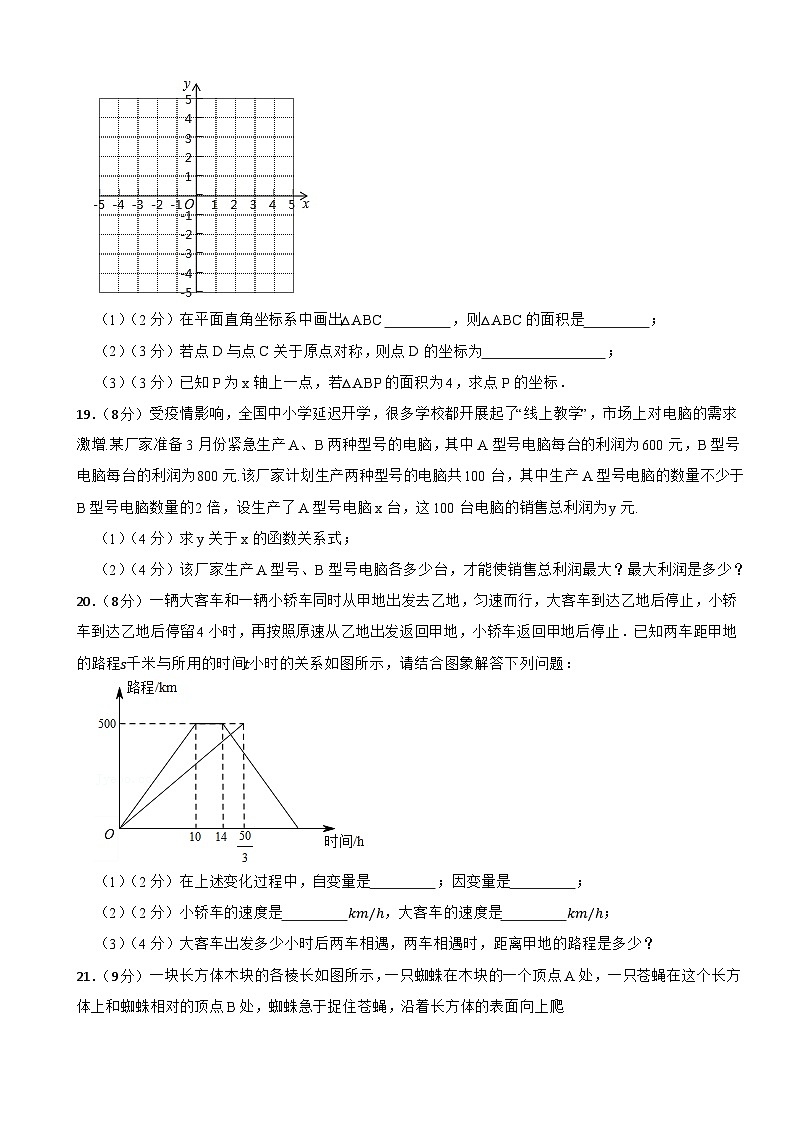 2023-2024学年北师大版数学八年级上学期期中仿真模拟试卷（二）第3页