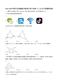 2023-2024学年江苏省南京市钟英中学八年级（上）10月月考数学试卷（含解析）