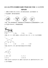 2023-2024学年江苏省南京市金陵中学仙林分校八年级（上）10月月考数学试卷（含解析）