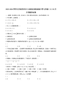 2023-2024学年江苏省苏州市工业园区星海实验中学七年级（上）10月月考数学试卷（含解析）