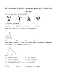 2023-2024学年江苏省苏州市工业园区星汇学校八年级（上）10月月考数学试卷（含解析）