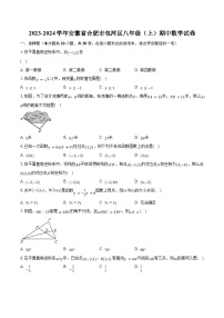 2023-2024学年安徽省合肥市包河区八年级（上）期中数学试卷（含解析）