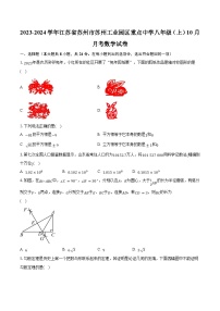 2023-2024学年江苏省苏州市苏州工业园区重点中学八年级（上）10月月考数学试卷（含解析）