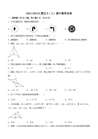 湖北省武汉市江夏区2023-2024学年八年级上学期期中数学试题