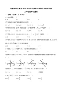 安徽省宿州市埇桥区教育集团2023-2024学年八年级上学期期中数学试题