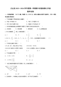 河北省石家庄市正定县2023-2024学年七年级上学期期中数学试题