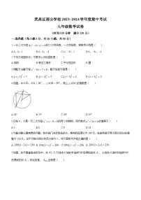 湖北省武汉市武昌区2023-2024学年九年级上学期期中数学试题