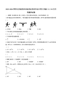 2023-2024学年江苏省苏州市姑苏区苏州立达中学八年级（上）10月月考数学试卷（含解析）