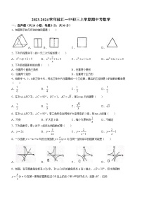 广东省佛山市南海区桂城街道桂江第一初级中学2023-2024学年九年级上学期期中数学试题