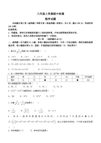 山东省泰安市新泰市2023-2024学年八年级上学期期中数学试题