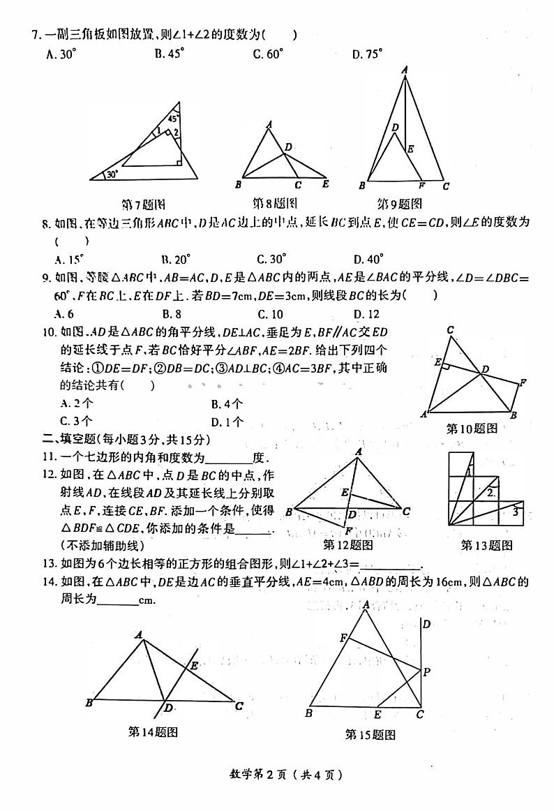 2023-2024洛阳市涧西区八年级上学期期中数学试卷及答案02