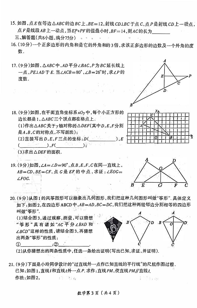 2023-2024洛阳市涧西区八年级上学期期中数学试卷及答案03