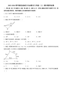 湖北省咸宁市赤壁市2023-2024学年八年级上学期期中数学试题  含答案解析