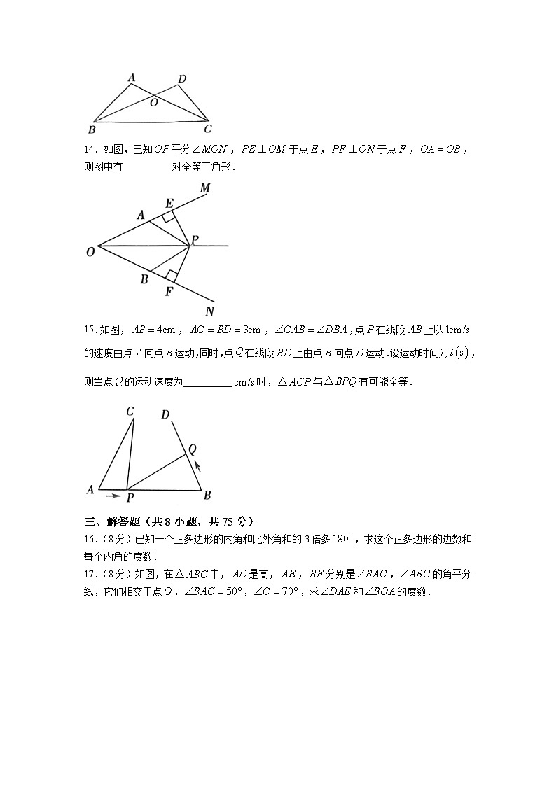 河南省安阳市林州市2023-2024学年八年级上学期10月月考数学试卷(含答案)第3页
