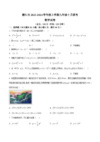 湖北省潜江市十校联考2024届九年级上学期10月月考数学试卷(含解析)