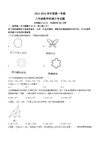 海南省省直辖县级行政单位文昌市2023-2024学年八年级上学期期中数学试题(无答案)