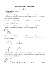 吉林省长春市朝阳区吉林大学附属中学2023-2024学年九年级上学期期中数学试题(无答案)