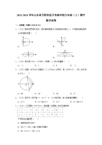 山东省日照市经开实验学校2023-2024学年九年级上学期期中数学试卷