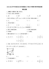 2023-2024学年河南省驻马店市新蔡县九年级上学期期中数学质量检测模拟试题（含解析）