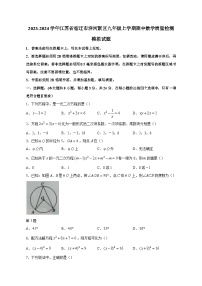 2023-2024学年江苏省宿迁市洋河新区九年级上学期期中数学质量检测模拟试题（含解析）