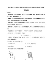 2023-2024学年山东省济宁市嘉祥县九年级上学期期中数学质量检测模拟试题（含解析）