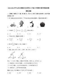 2023-2024学年山东省聊城市东昌府区八年级上学期期中数学质量检测模拟试题（含解析）