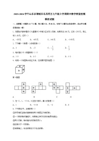 2023-2024学年山东省聊城市东昌府区七年级上学期期中数学质量检测模拟试题（含解析）