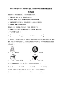 2023-2024学年山东省聊城市冠县八年级上学期期中数学质量检测模拟试题（含解析）