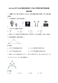 2023-2024学年山东省聊城市临清市八年级上学期期中数学质量检测模拟试题（含解析）