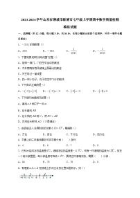 2023-2024学年山东省聊城市临清市七年级上学期期中数学质量检测模拟试题（含解析）