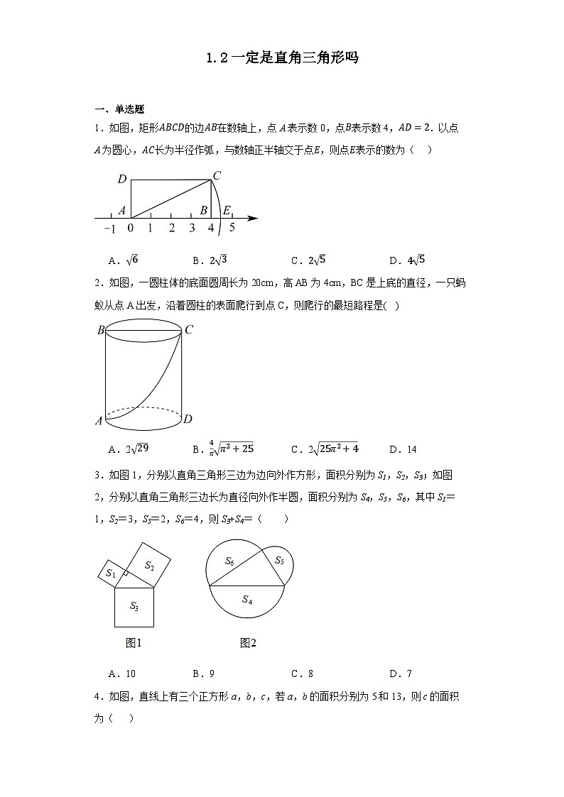1.2一定是直角三角形吗同步练习（无答案）北师大版数学八年级上册01