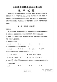 2022.11济南市九区八上期中数学试卷（含答案）