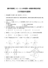 江西省赣州市南康区2024届九年级上学期期中摸底练习数学试卷(含答案)