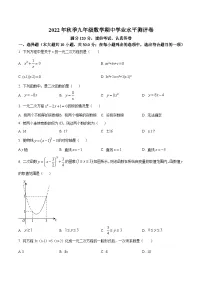 青海省海东市2023届九年级上学期期中学业水平测评数学试卷(含解析)