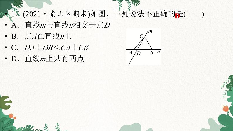 第4章《基本平面图形》 考点突破 北师大版数学七年级上册课件第3页