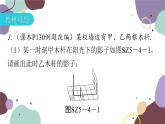 第5章 投影与视图：专题四 课标新导向 数学北师大版 九年级上册课件