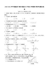 2020-2021学年福建省宁德市福鼎市八年级上学期期中数学试题及答案