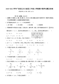 2020-2021学年广西崇左市大新县八年级上学期期中数学试题及答案