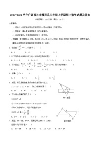 2020-2021学年广西桂林市灌阳县八年级上学期期中数学试题及答案