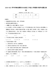 2020-2021学年河南省濮阳市台前县八年级上学期期中数学试题及答案