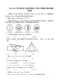 2020-2021学年湖北省十堰市张湾区八年级上学期期中数学试题及答案